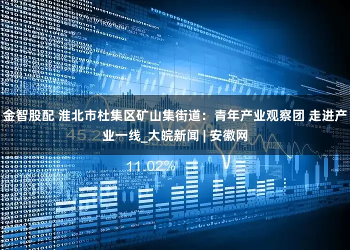 金智股配 淮北市杜集区矿山集街道：青年产业观察团 走进产业一线_大皖新闻 | 安徽网