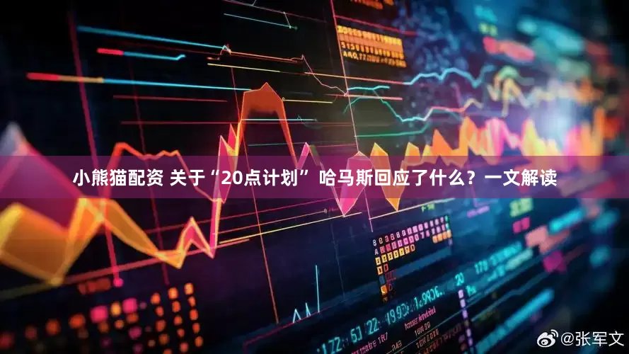 小熊猫配资 关于“20点计划” 哈马斯回应了什么？一文解读