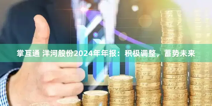 掌互通 洋河股份2024年年报：积极调整，蓄势未来